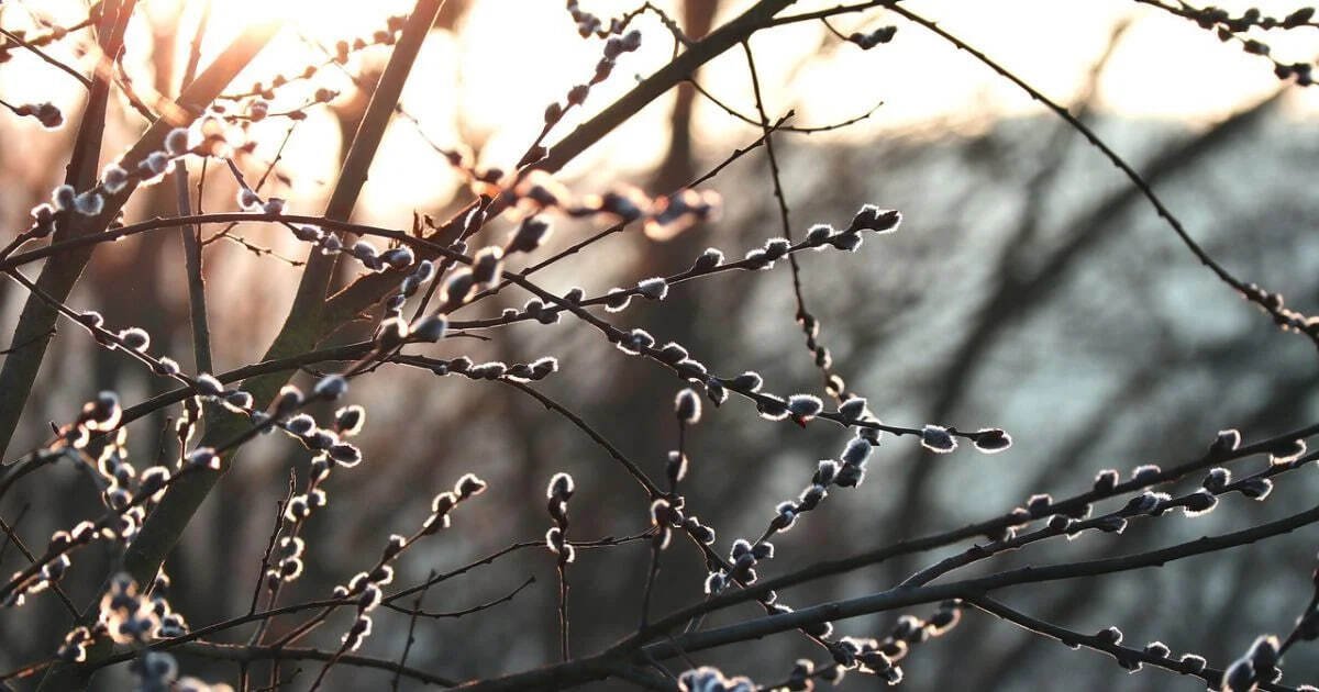 До +7: какая погода будет в Днепре 5 марта