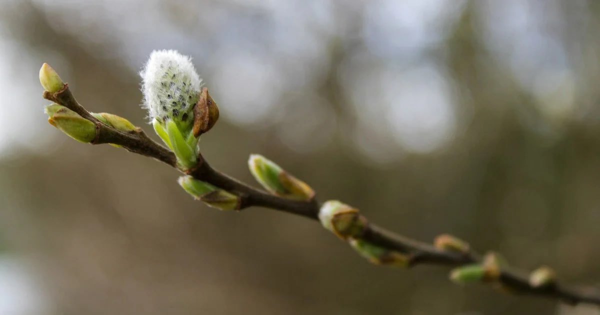 Сплошная облачность: прогноз погоды в Днепре на 6 марта