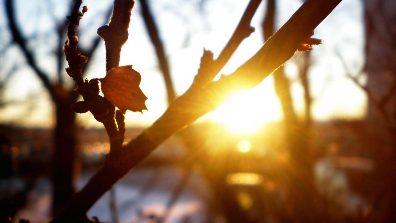 Сонячно і до +15: прогноз погоди у Дніпрі на сьогодні 