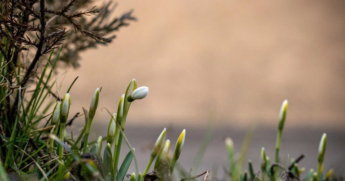 У Дніпрі 12 березня очікується до +16°: детальний прогноз погоди