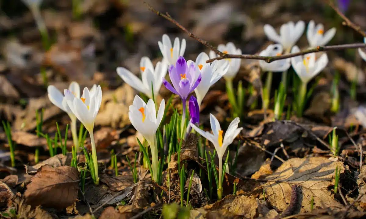 Тепло и солнечно: прогноз погоды в Днепре на 13 марта