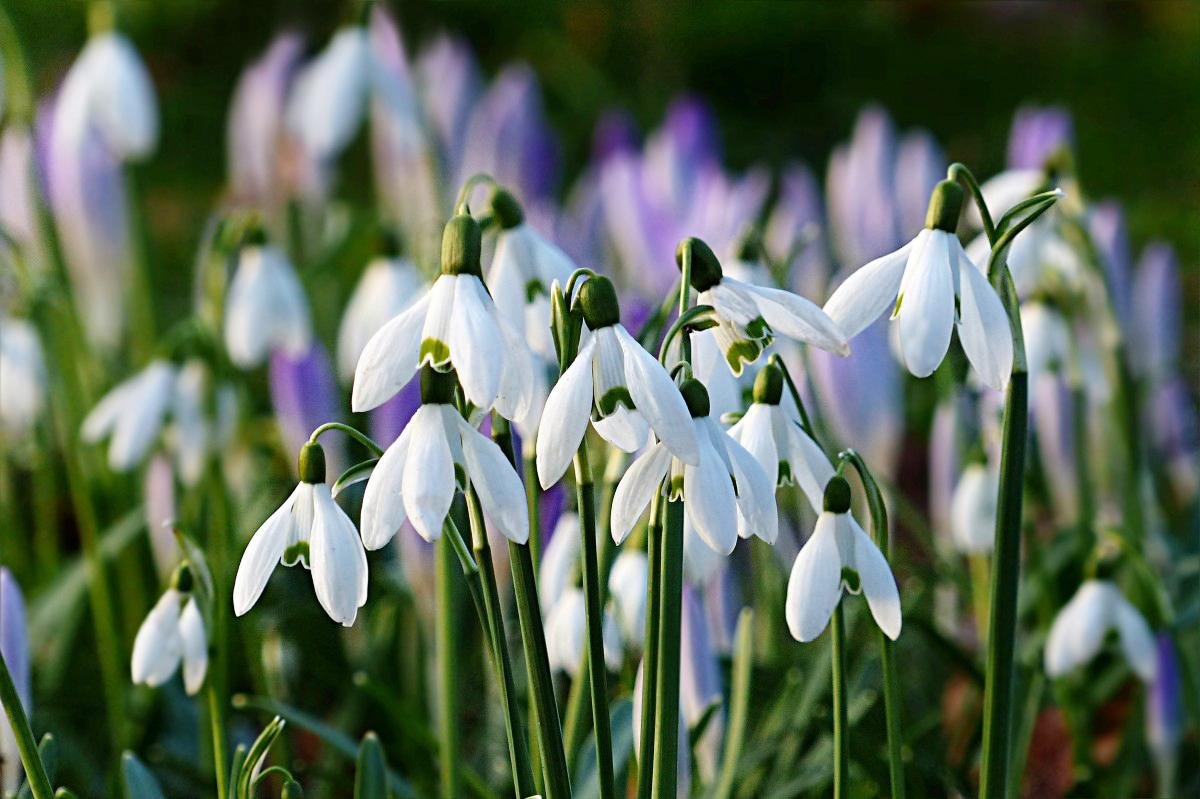 Весна набирає обертів: якою буде погода у Дніпрі 14 березня