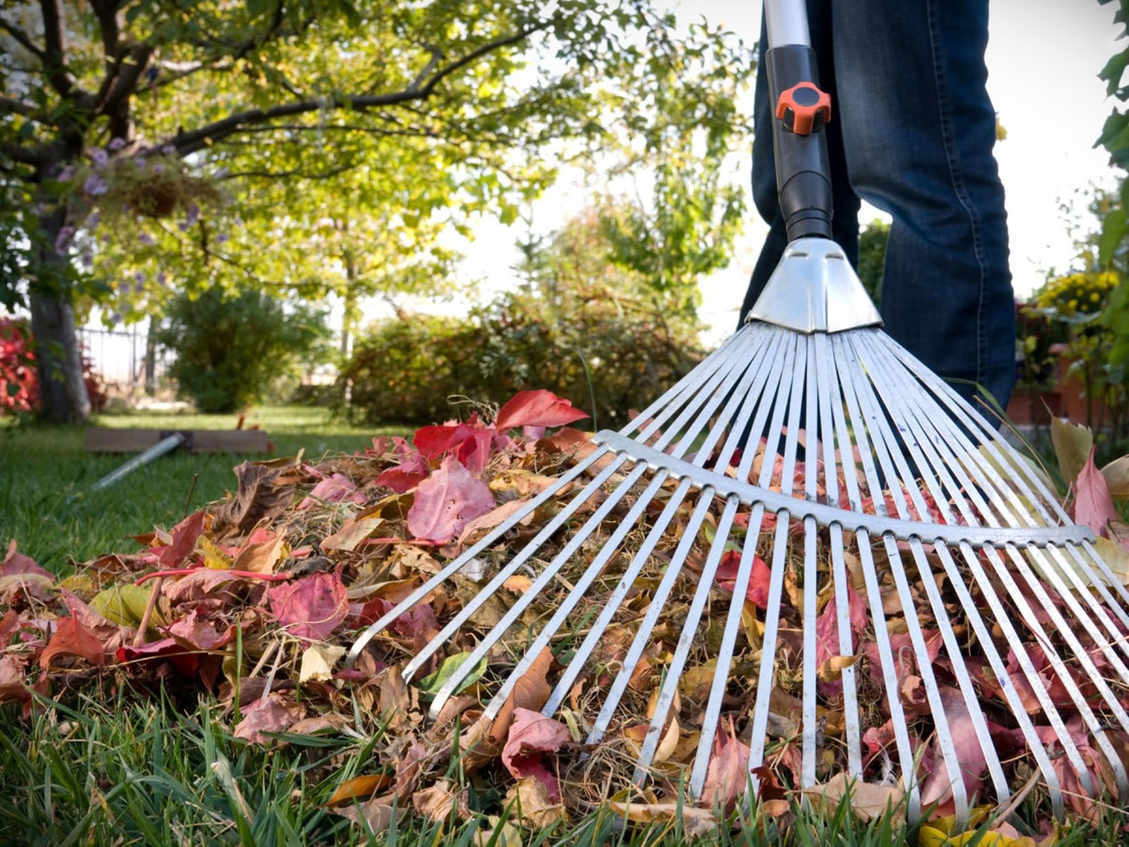 Наводять лад у зелених зонах: як у Дніпрі готують парки та сквери до сезону
