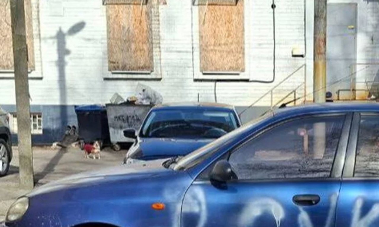 Авто рисуют бранными надписями