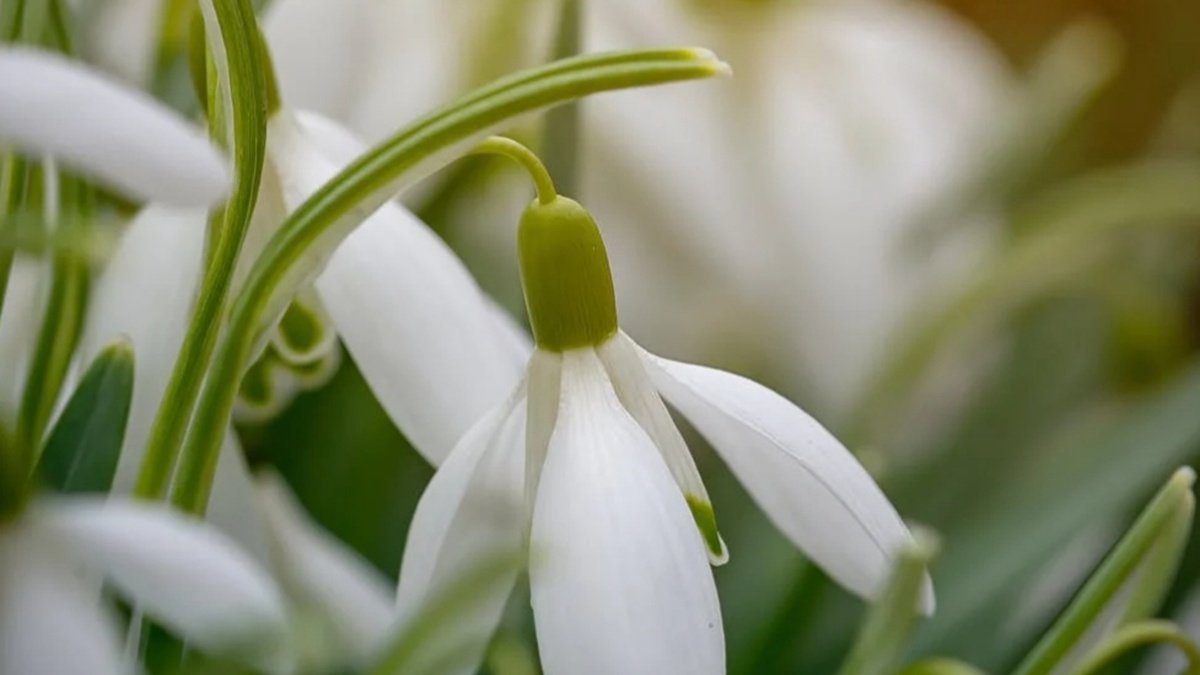 Какой сегодня праздник и кого поздравлять с именинами: 16 марта – все об этом дне