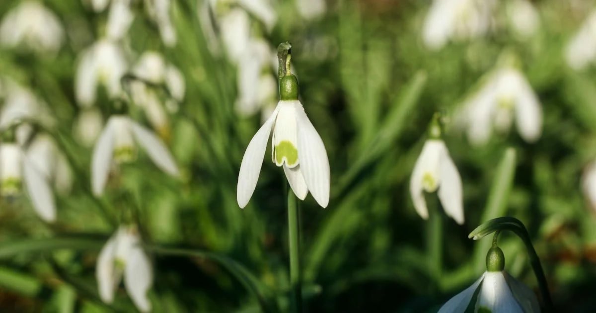 Какой сегодня праздник и кого поздравлять с именинами: 18 марта — все об этом дне