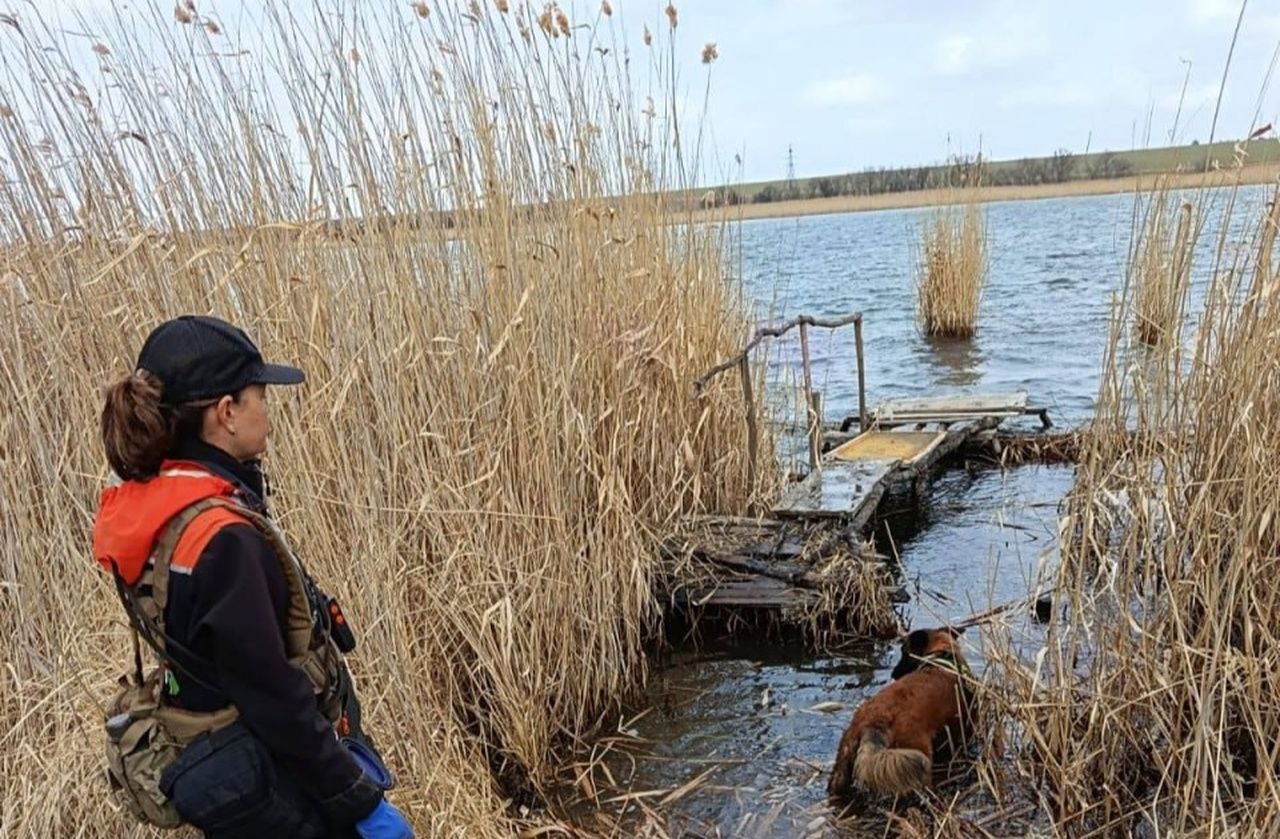 Собаки-поисковики обнаружили тело девушки