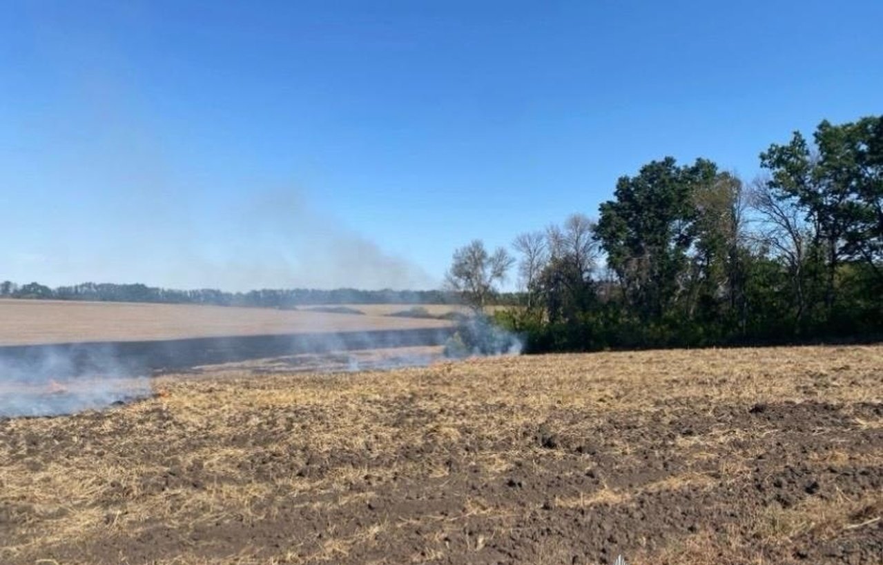 Пожар на поле