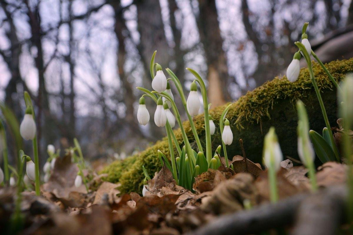 У Дніпрі 20 березня очікується хмарна погода