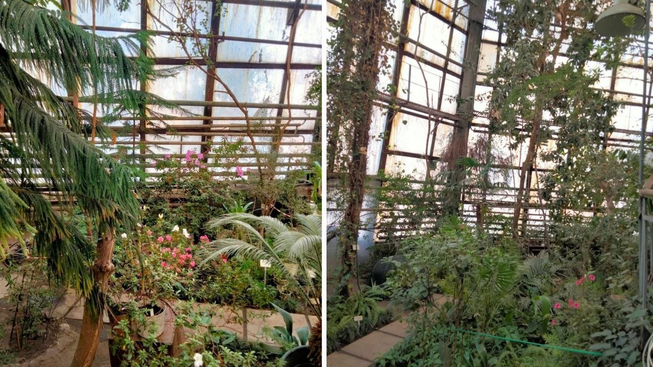 Ботсад у Дніпрі