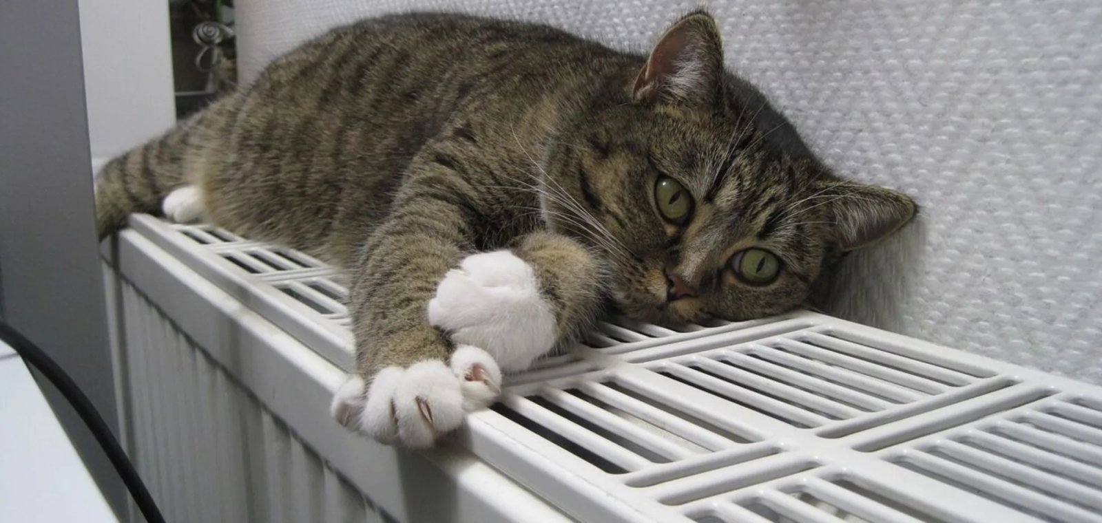 В Днепре завершился отопительный сезон: решение горсовета