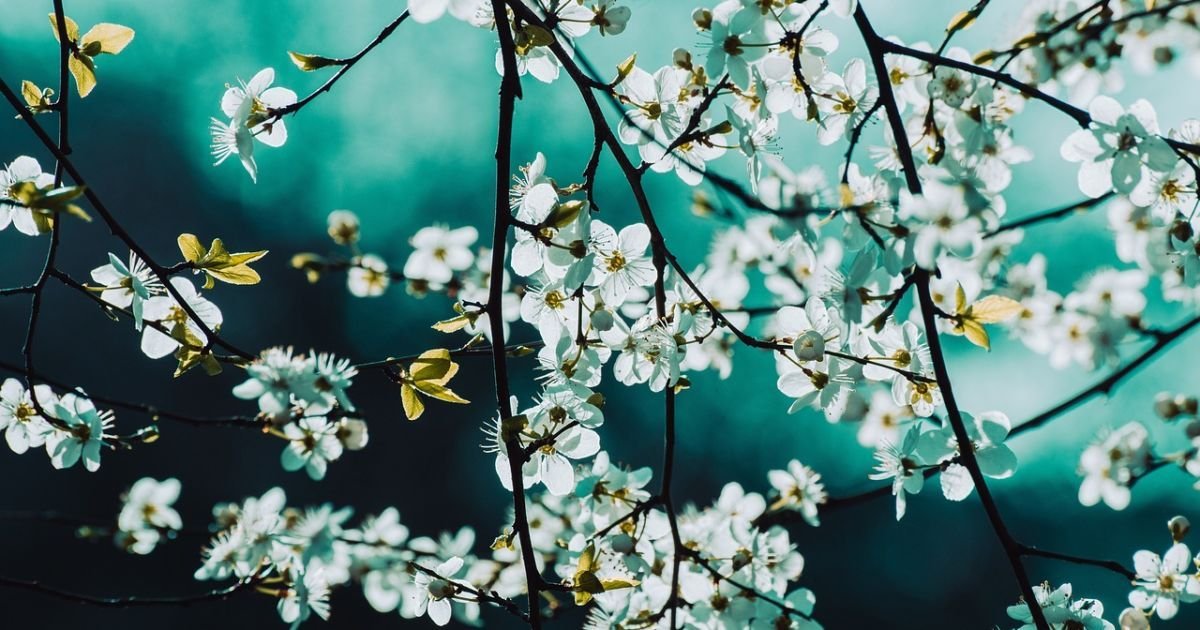 Какой праздник 22 марта по новому календарю в Украине: традиции, приметы и запреты дня