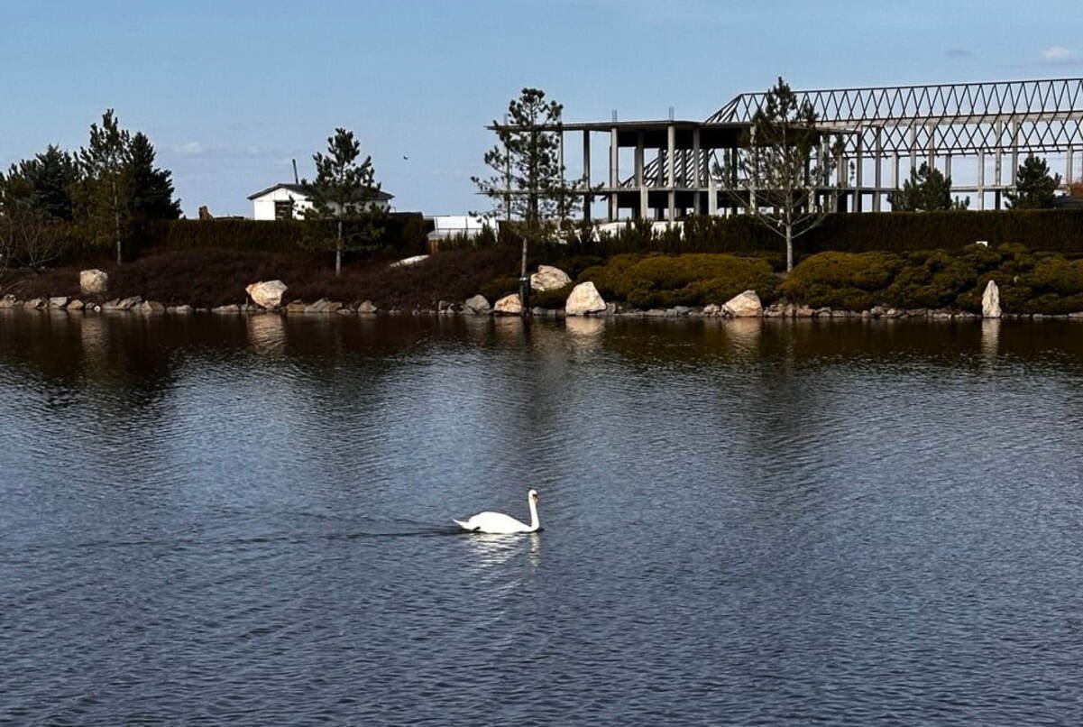 До +13: прогноз погоди у Дніпрі на 23 березня 