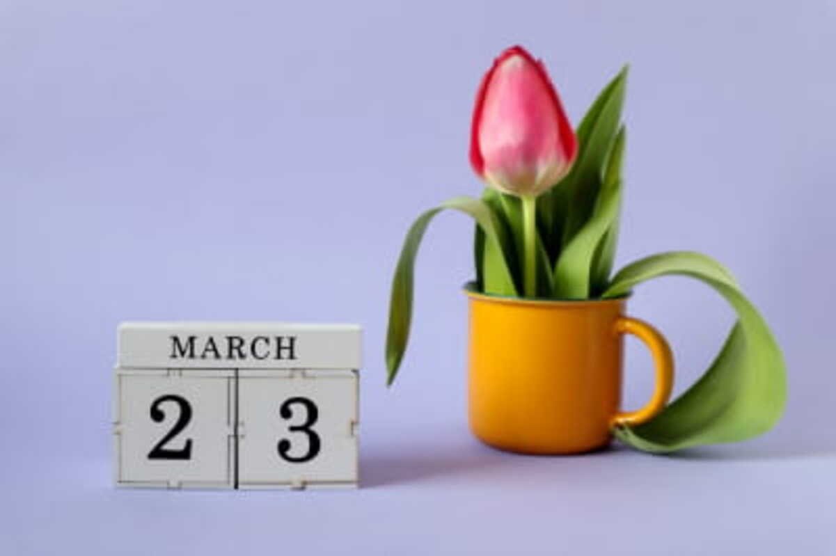 Яке сьогодні свято і кого вітати з іменинами: 23 березня — все про цей день