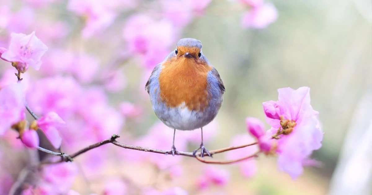 Яке сьогодні свято і кого вітати з іменинами: 24 березня – все про цей день