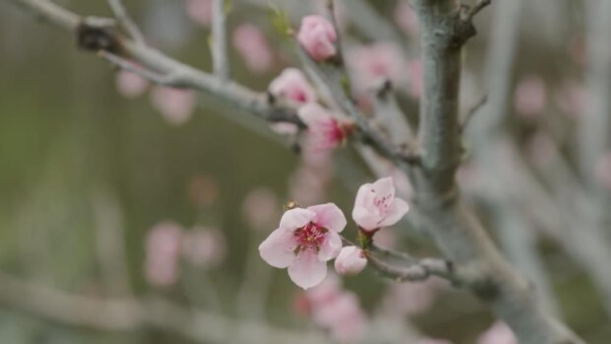 Дощ і до +12: прогноз погоди у Дніпрі на сьогодні 