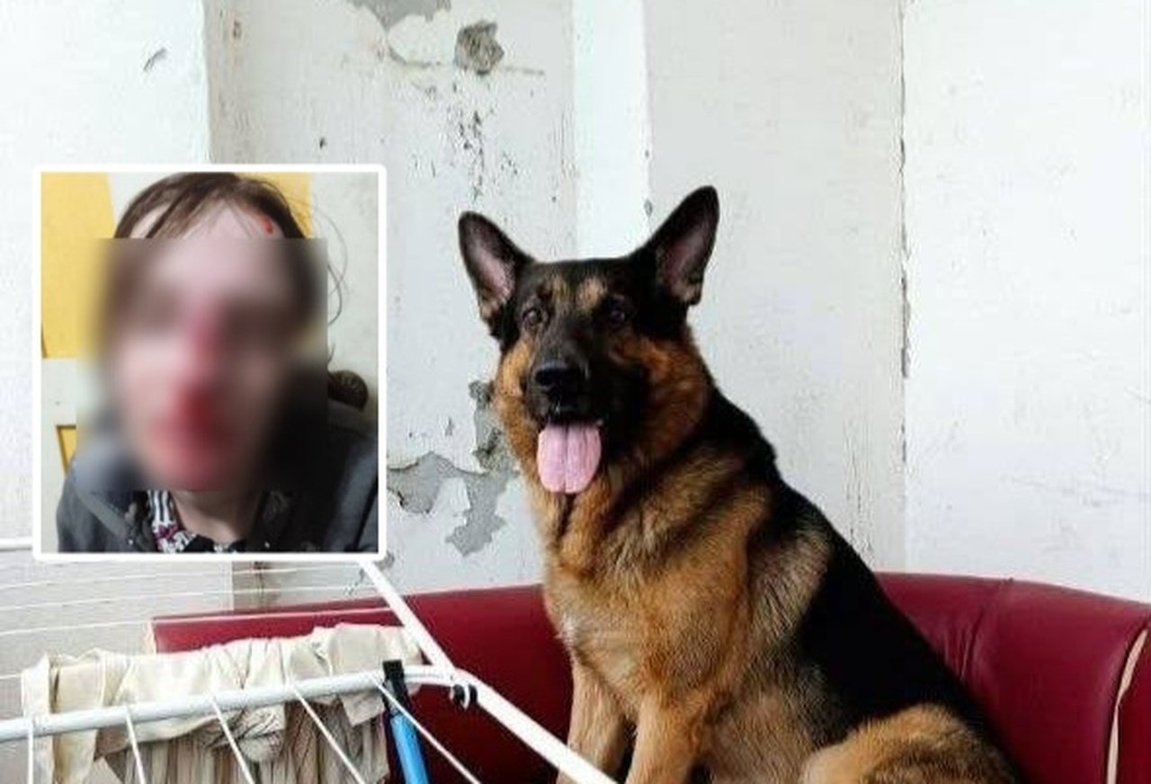 В Кривом Роге овчарка набросилась на девушку во время прямого эфира в ТикТок