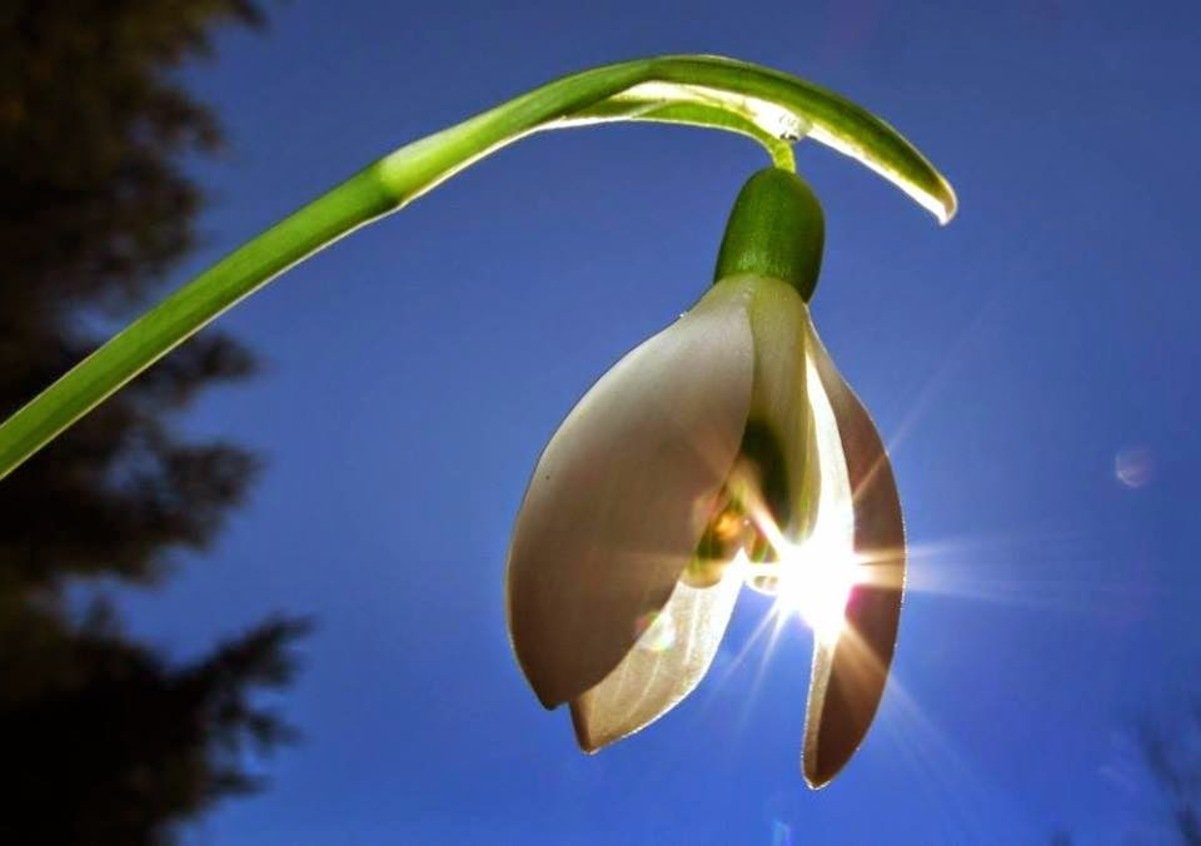 Погода у Дніпрі 26 березня: до +19 градусів 