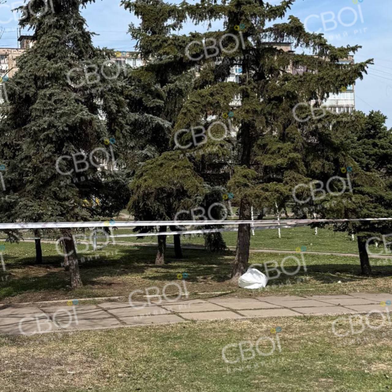 Под елкой в ​​сквере Кривого Рога ребенок нашел боеприпас