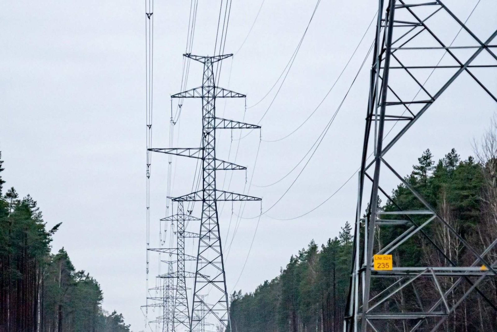 Електромережі