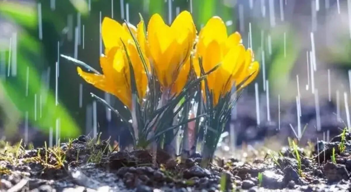 У Дніпрі 1 квітня очікується дощ і до +17°: прогноз погоди