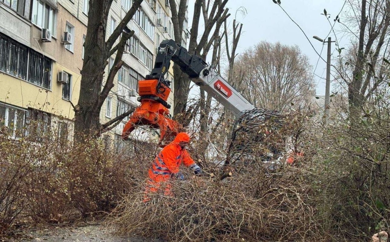 Обрезка деревьев