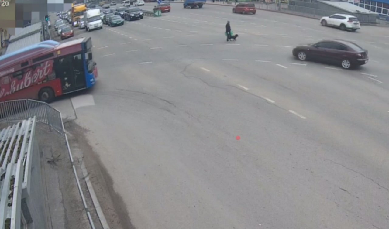 Человек ходил посреди дороги с собакой