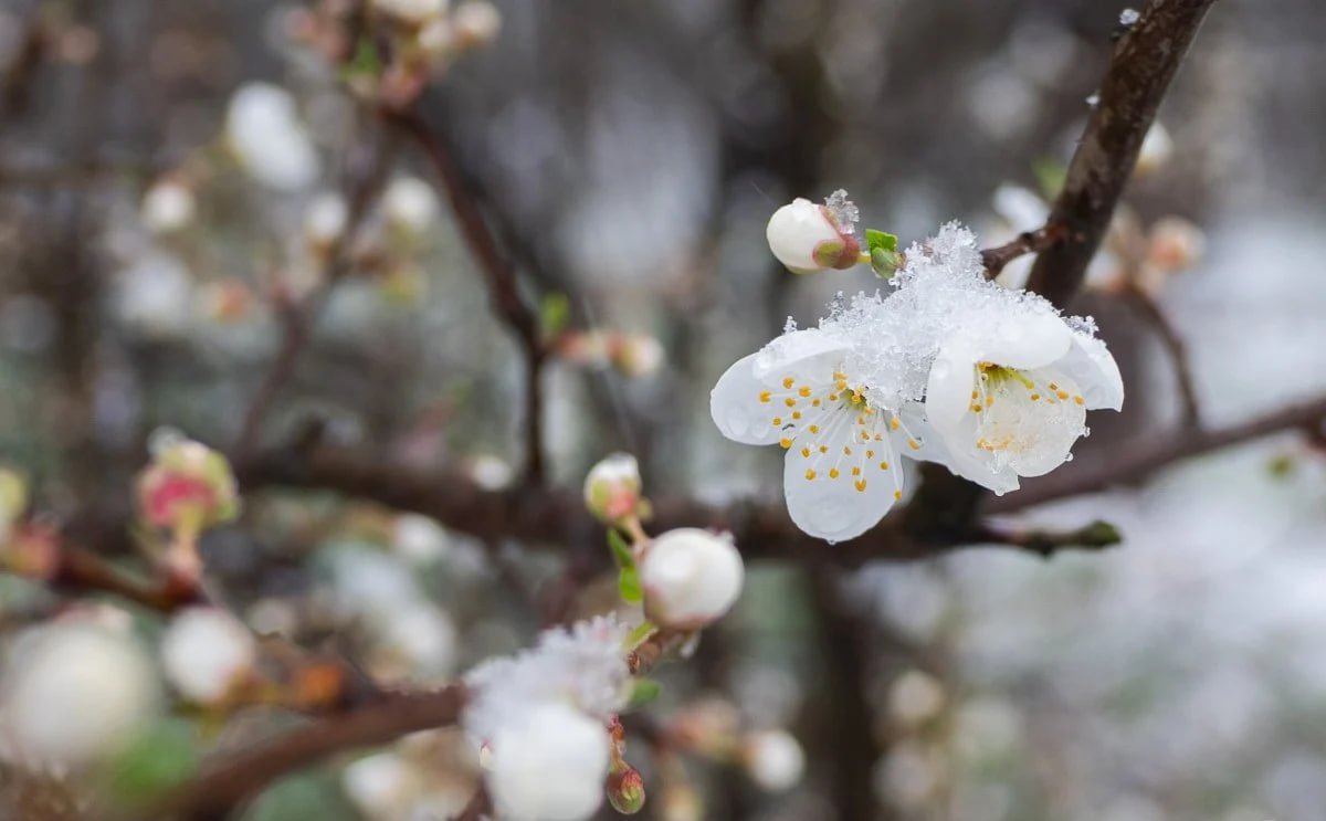 Прогноз погоды в Днепре на 2 апреля
