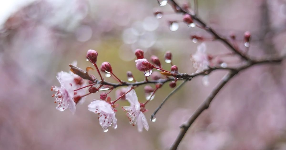 Какая будет погода в Днепре 4 апреля: прогноз синоптиков.