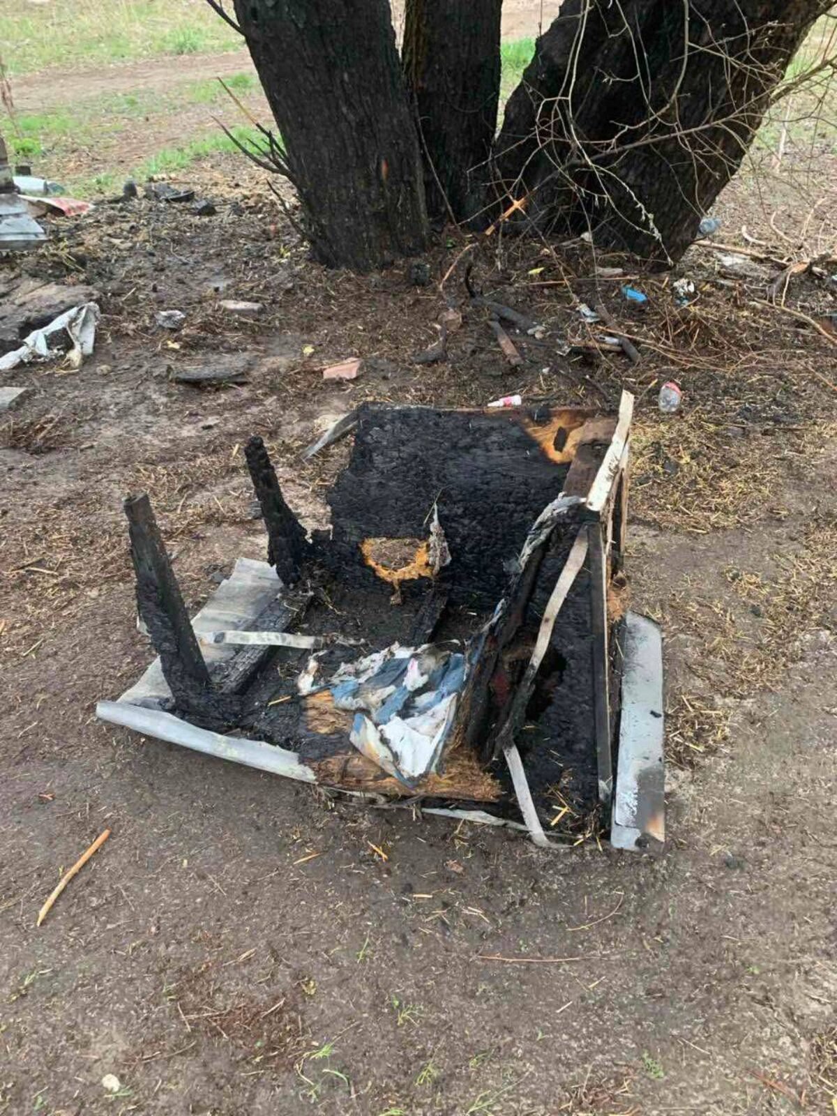 Остался уголь: в Днепре на Победе подожгли дома для собак