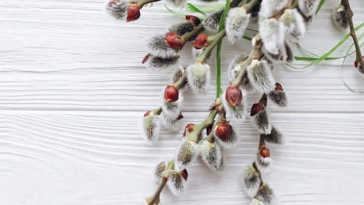 Яке сьогодні церковне свято: традиції, прикмети, День ангела та заборони