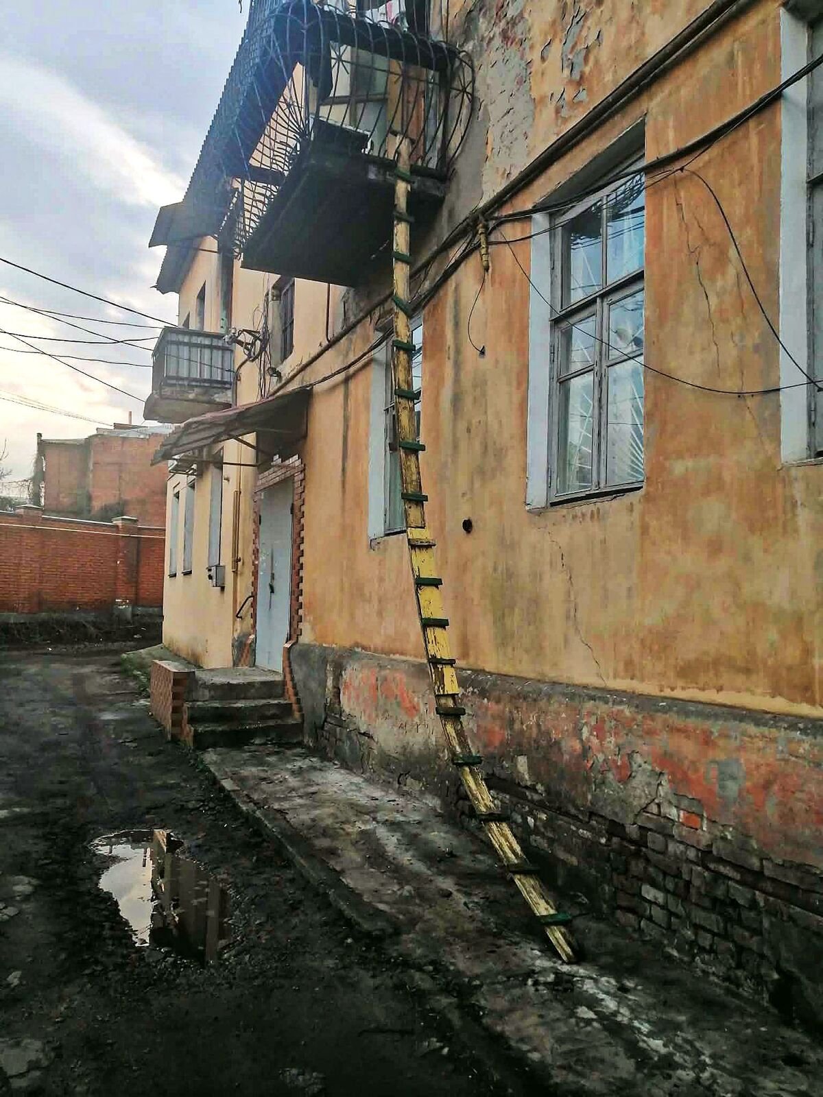 У Дніпрі мешканці змайстрували окремий вхід до квартири для котів