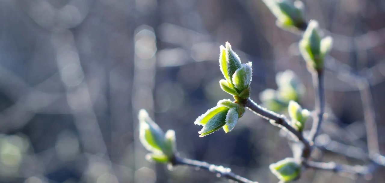 Прогноз погоды в Днепре на 7 апреля: объявлено предупреждение об опасном метеоявлении
