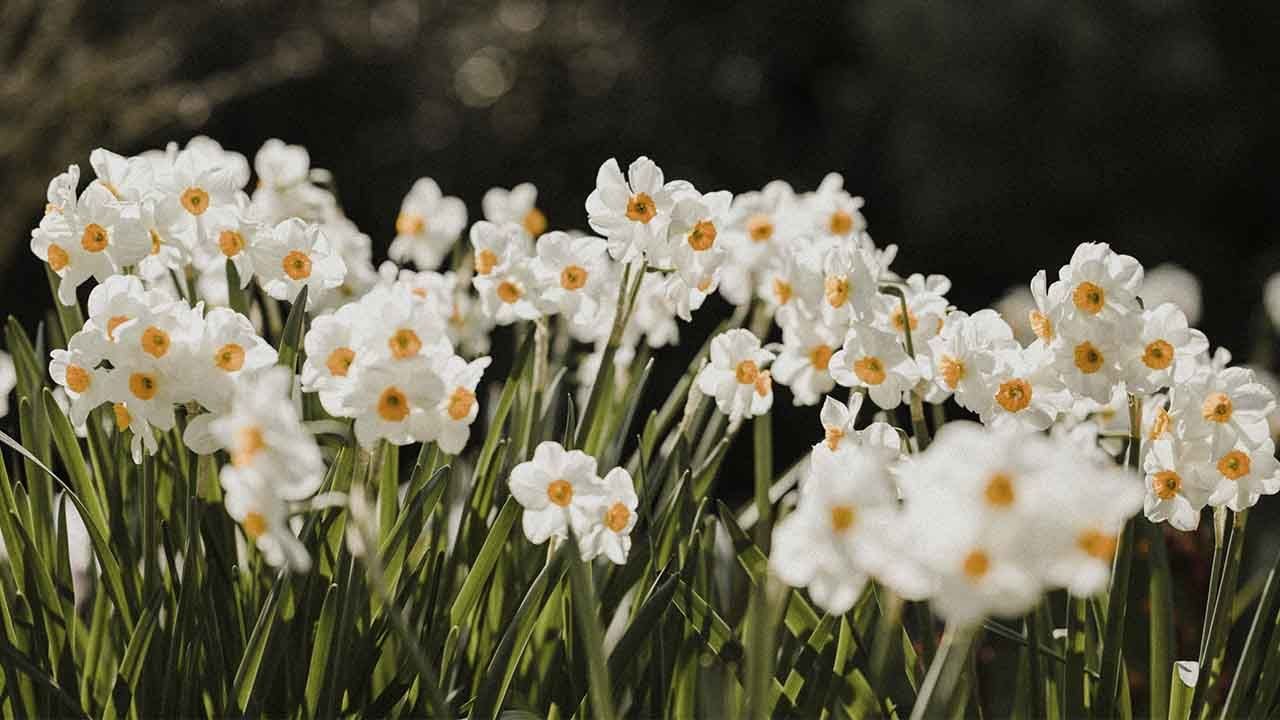 Какой сегодня праздник и кого поздравлять с именинами: 8 апреля — все об этом дне