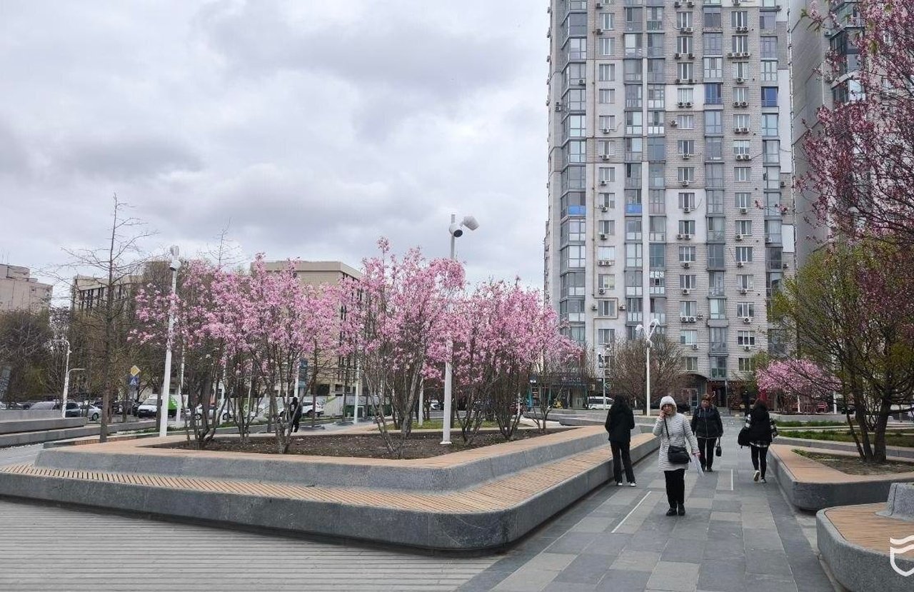 У Дніпрі розквітли магнолії та сакури: де зробити атмосферні весняні фото