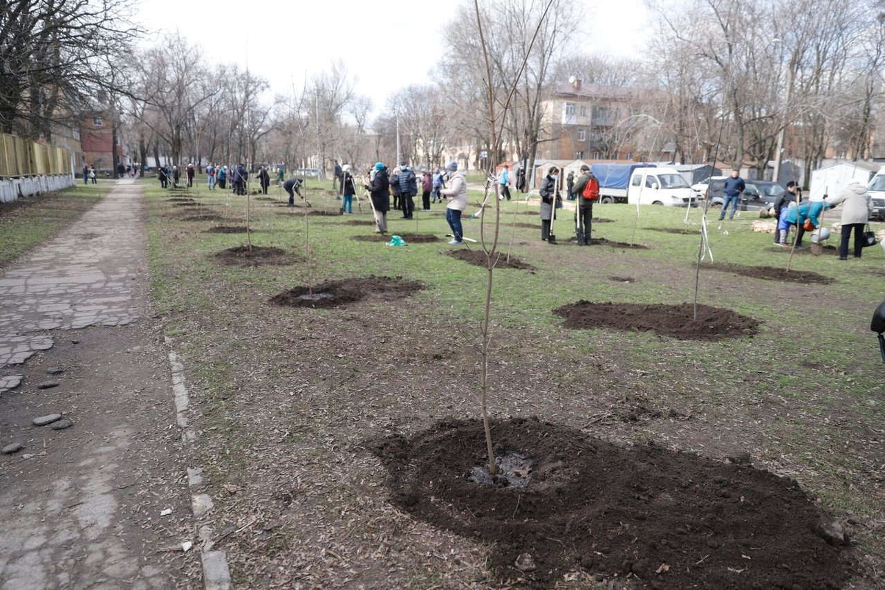 Озеленення територій