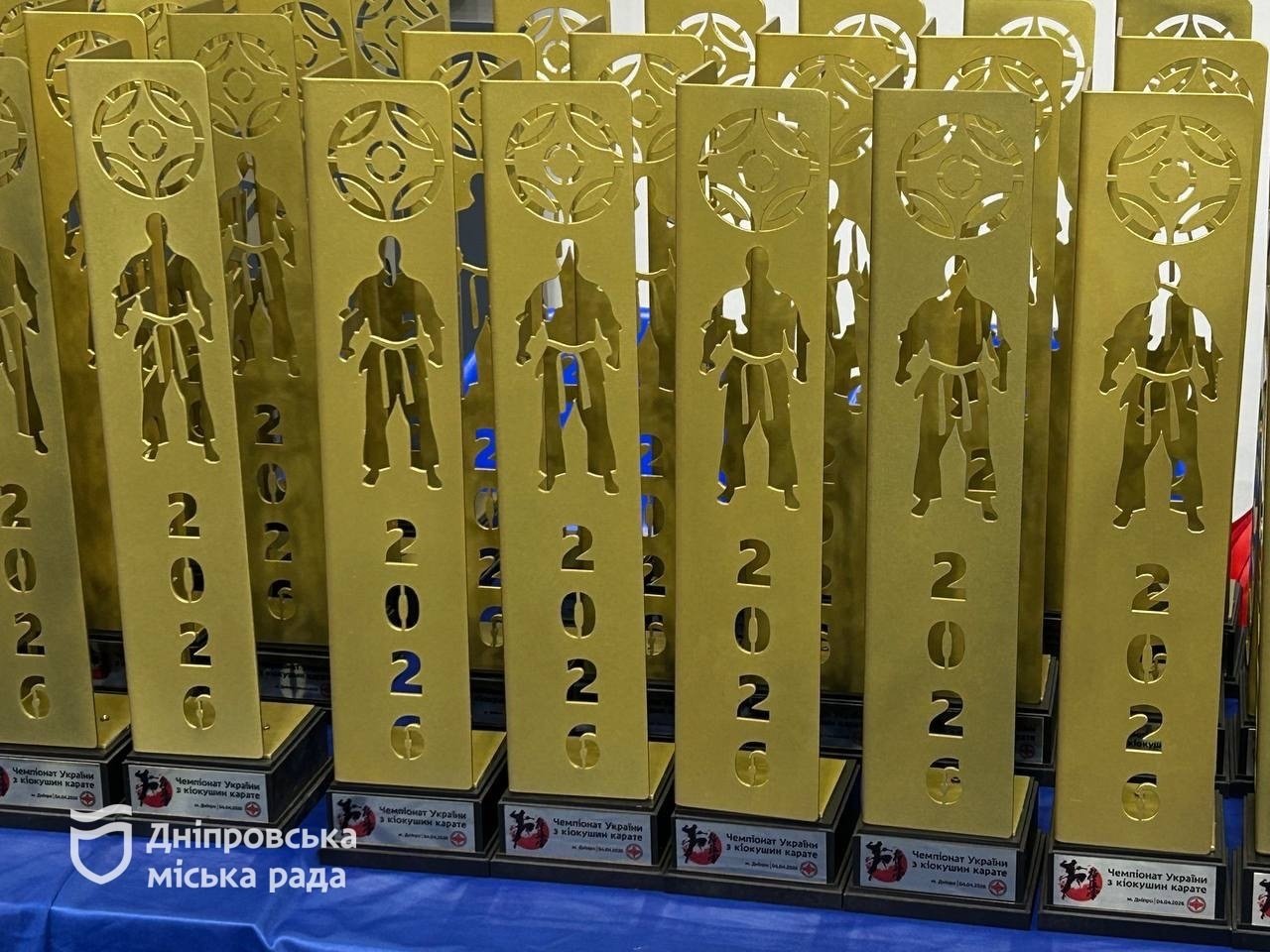В Днепре прошли масштабные соревнования по киокушинам каратэ