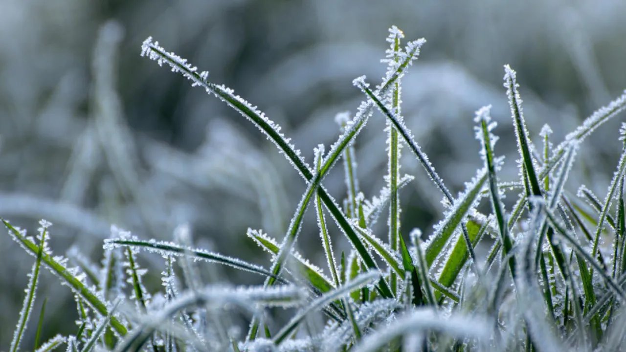 У Дніпрі та області оголосили попередження про заморозки