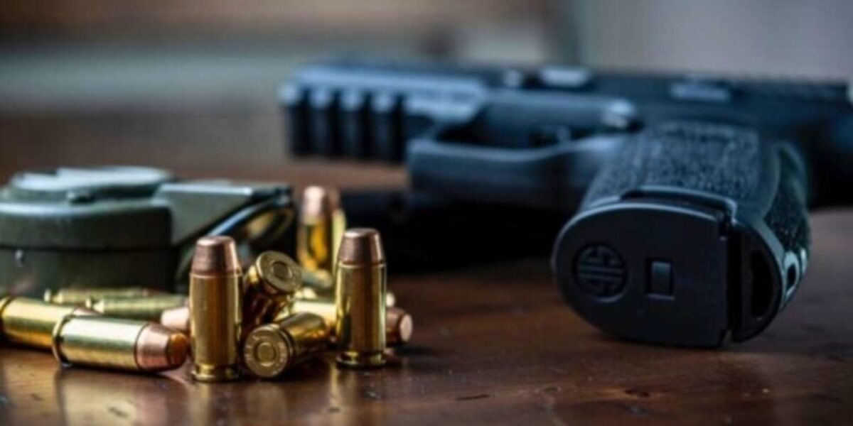 Днепряне задекларировали более 700 единиц оружия и 560 тысяч патронов: как не попасть под криминал