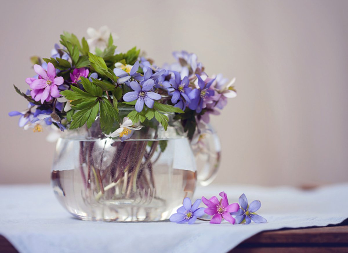 Яке сьогодні свято і кого вітати з іменинами: 14 квітня — все про цей день