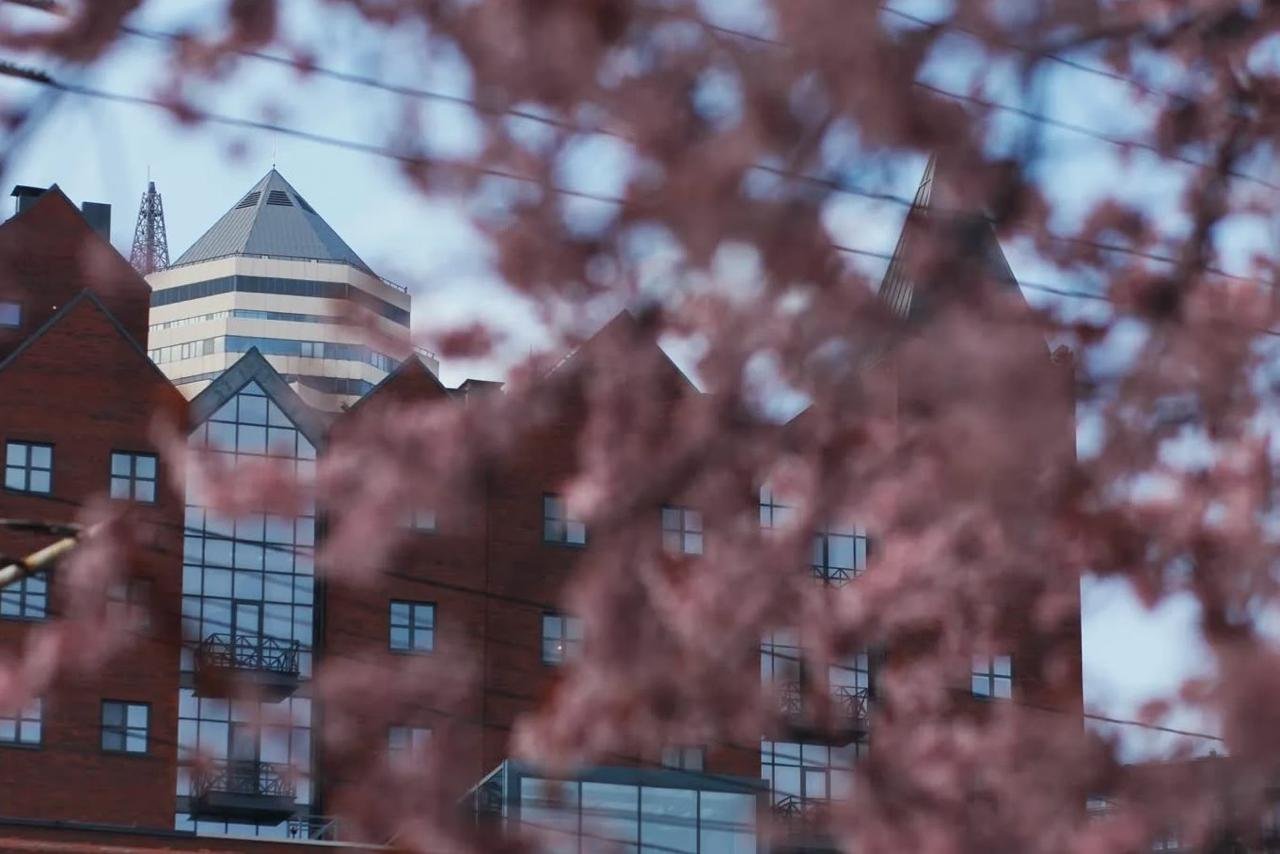 До +18: какой будет погода в Днепре 15 апреля