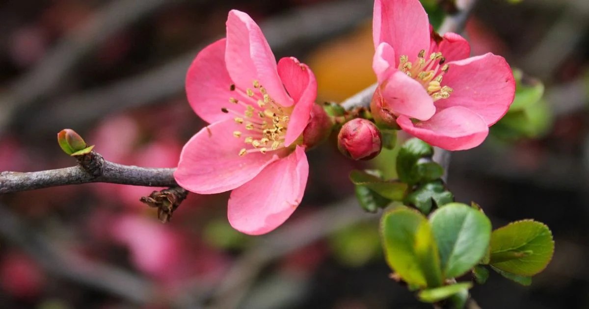 Погодні контрасти: прогноз у Дніпрі на 16 квітня