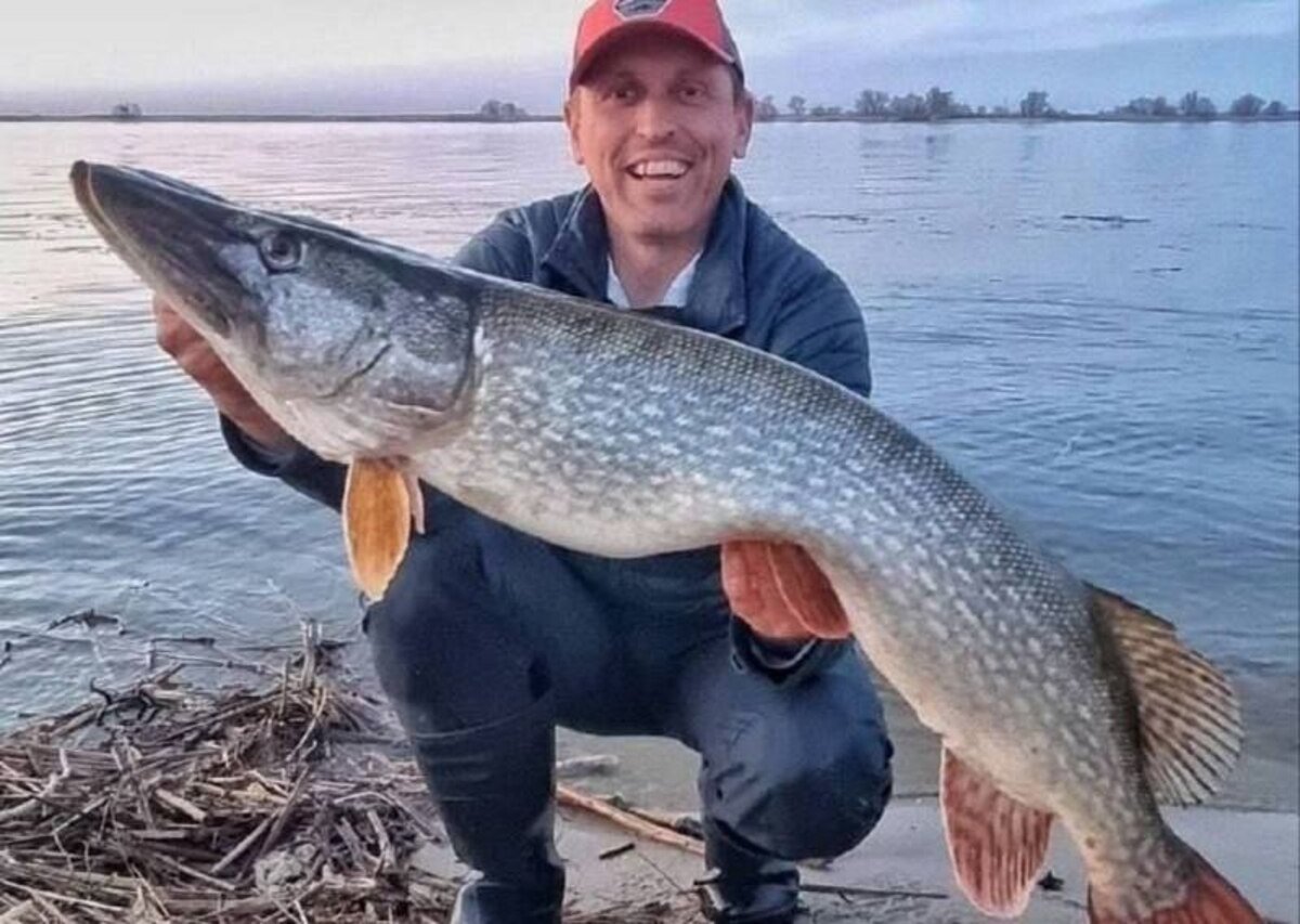 У Дніпрі рибалці вдалося спіймати рідкісну велику щуку