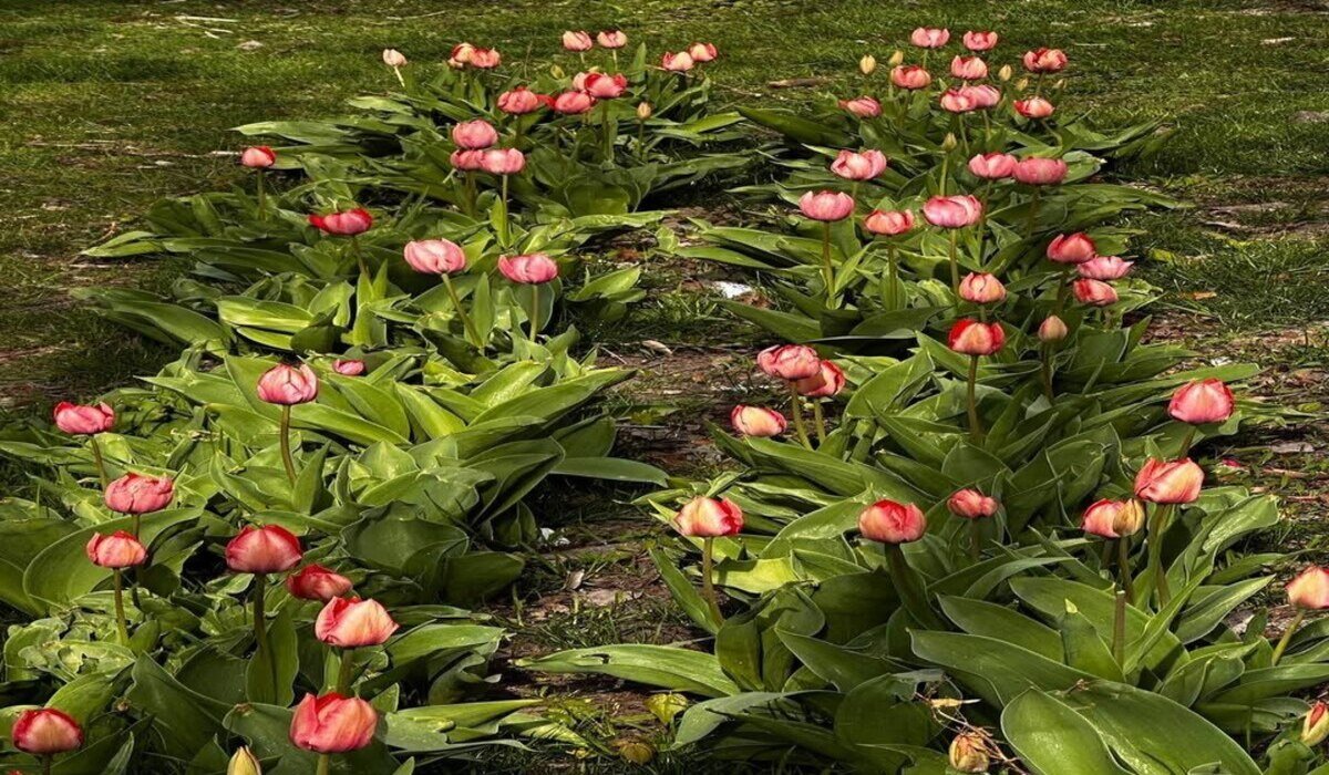 У Дніпрі Бульвар Слави перетворився на яскраву фотолокацію