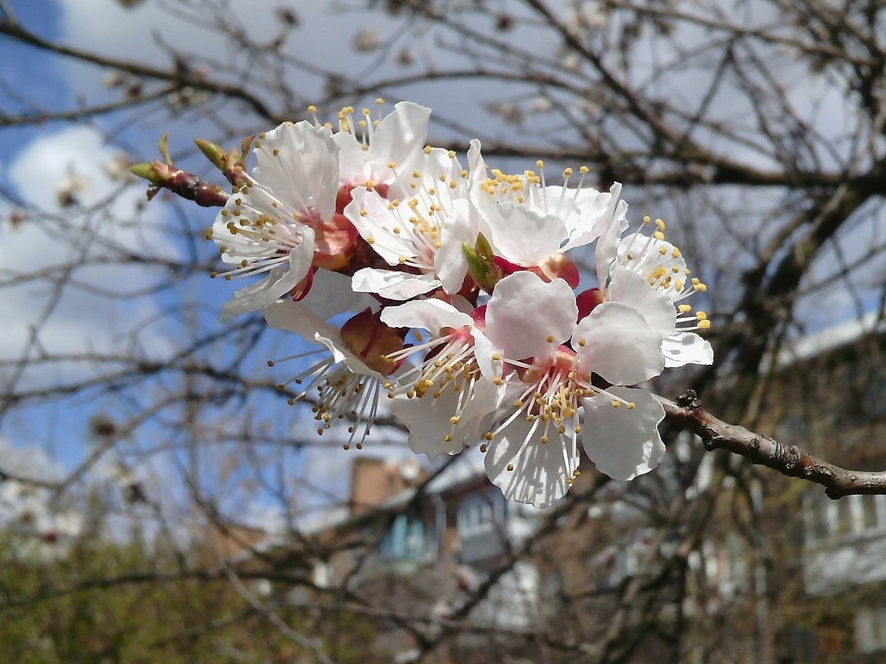 Якою буде погода у Дніпрі 18 квітня: прогноз синоптиків