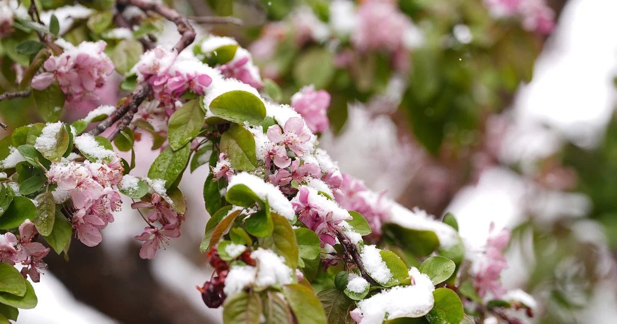 У Дніпрі та області очікуються заморозки: оголошено жовтий рівень небезпеки