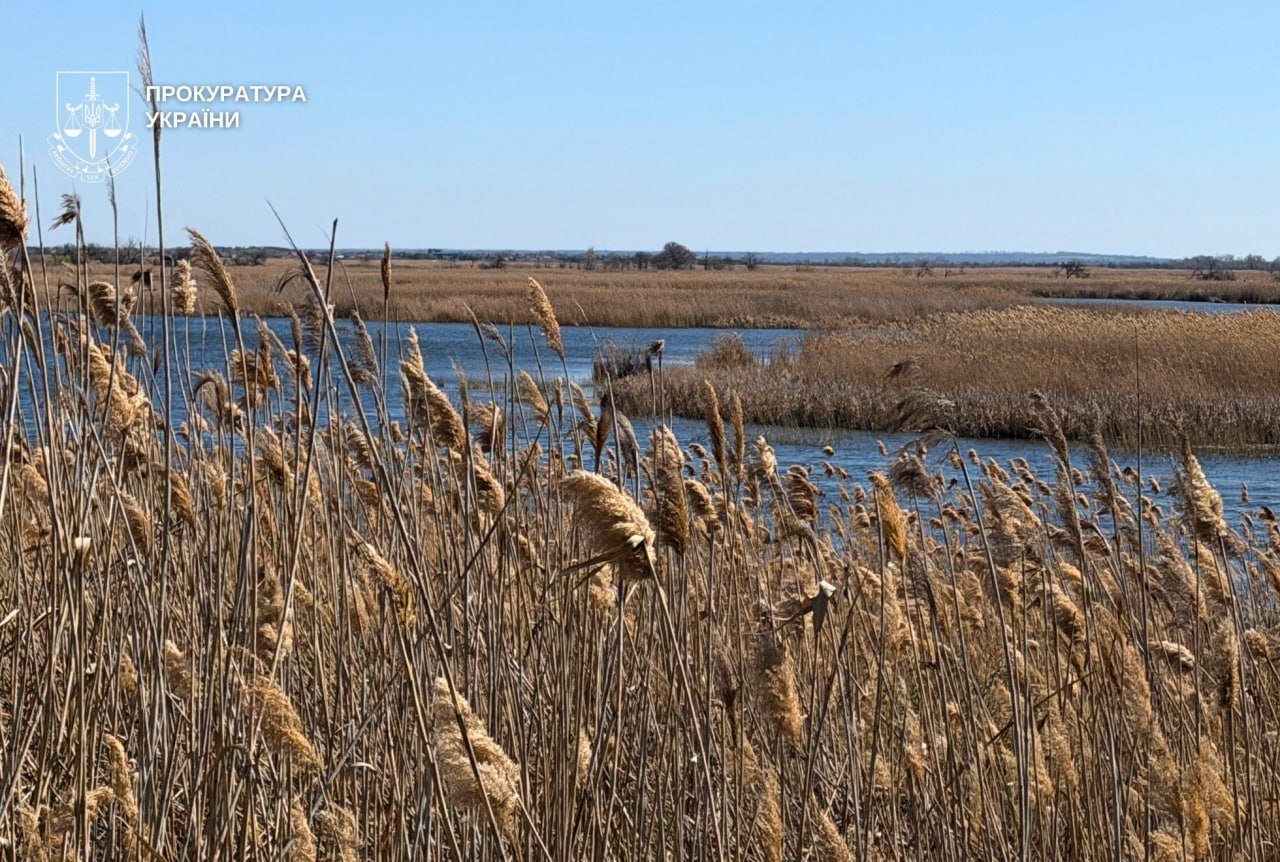 Самарські плавні 