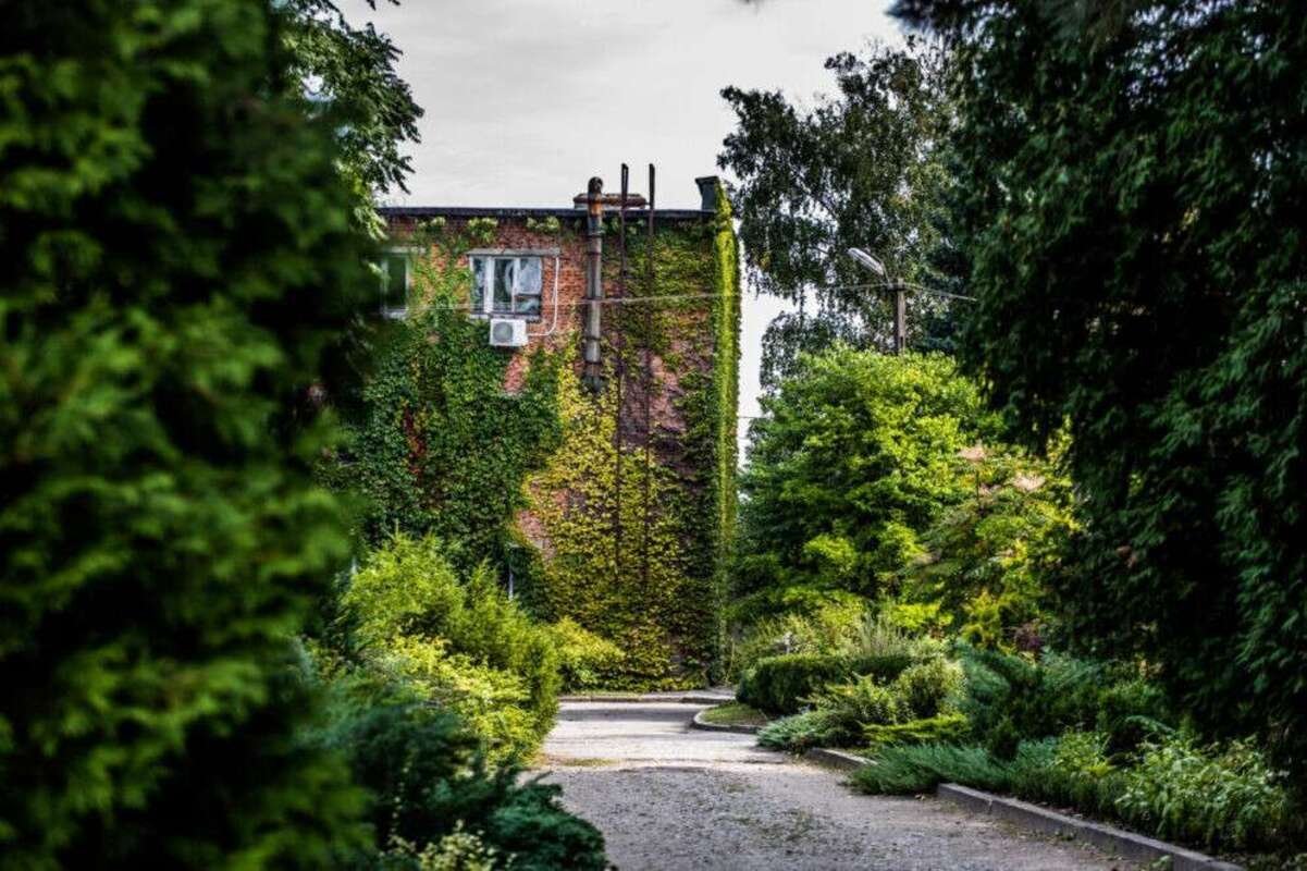 Экскурсии, мастер-классы и обмен растений: в Днепре на выходных будет работать ботсад