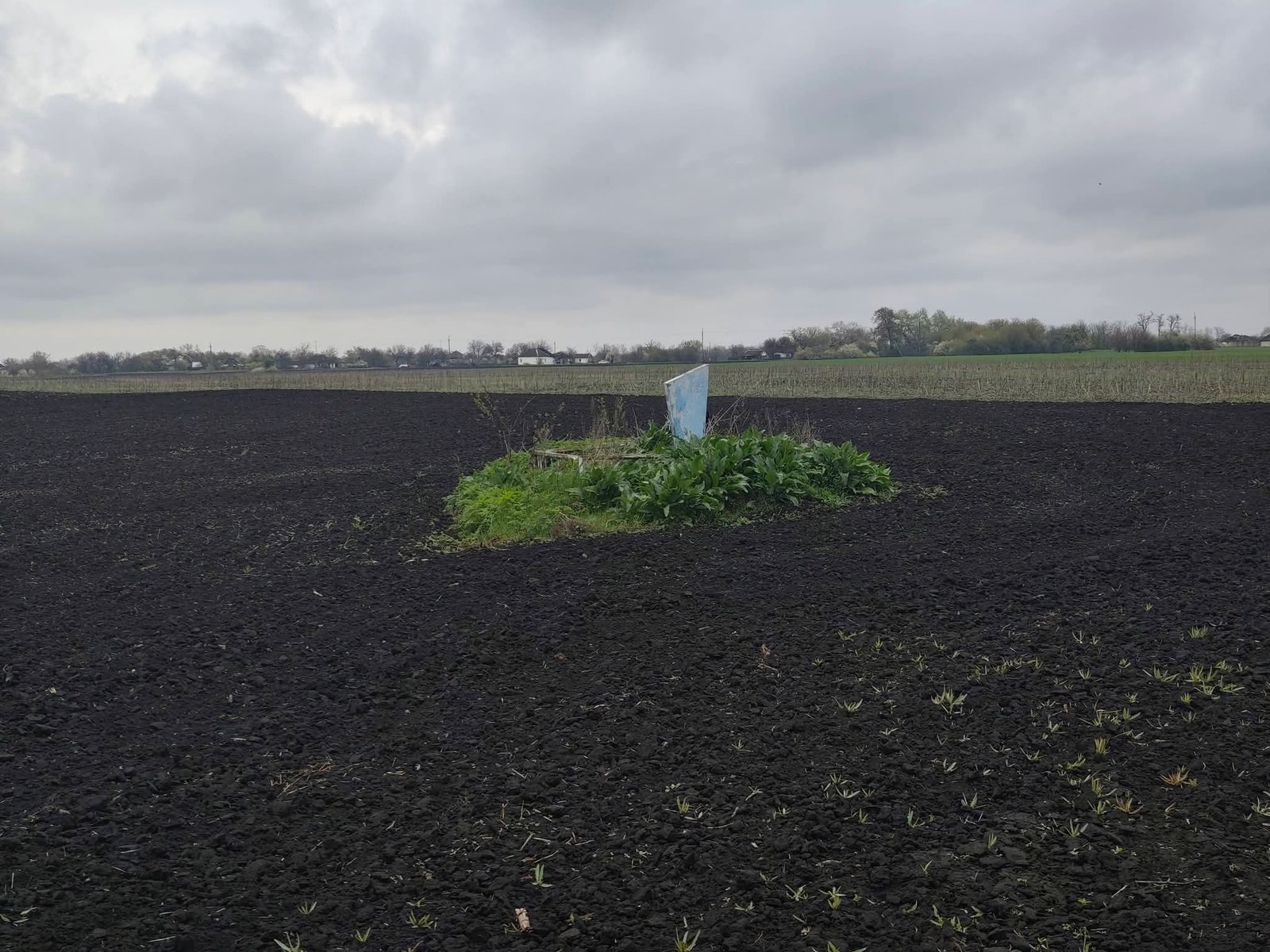 Могилу знайшли посеред поля 