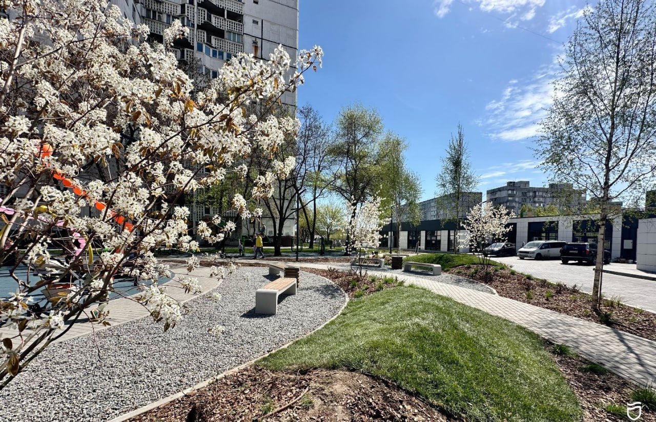 Новая зеленая зона на улице Николая Михновского